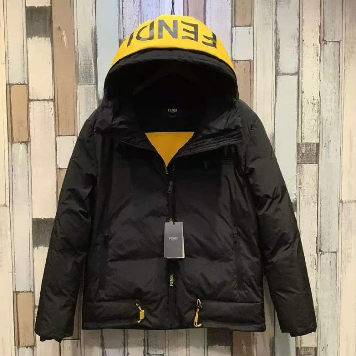Picture of Fendi Down Jackets _SKUFendisz46-548qx1337723